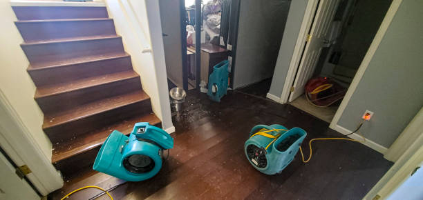 Best Basement water damage restoration  in Manitowoc, WI