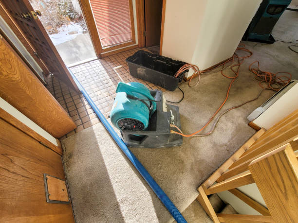 Best Local water damage restoration  in Manitowoc, WI