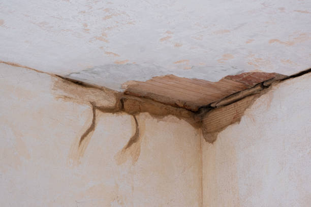 Best Water damage cleanup near me  in Manitowoc, WI