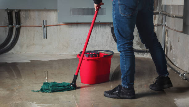 Best Basement water damage restoration  in Manitowoc, WI