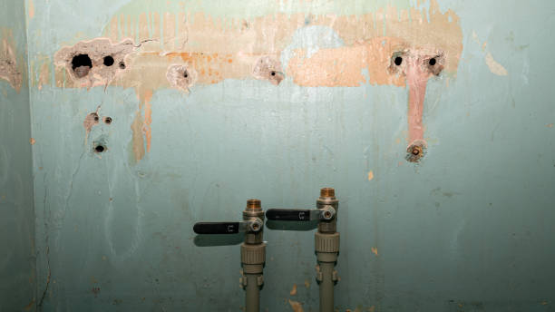 Best Water damage restoration services  in Manitowoc, WI