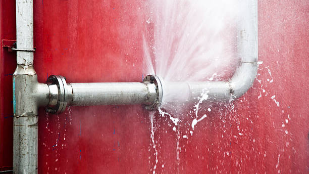 Best Professional water damage repair  in Manitowoc, WI